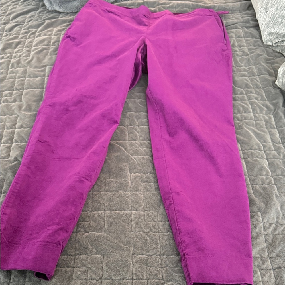 Vibrant Jjill Velveteen Sugarbeet Pants